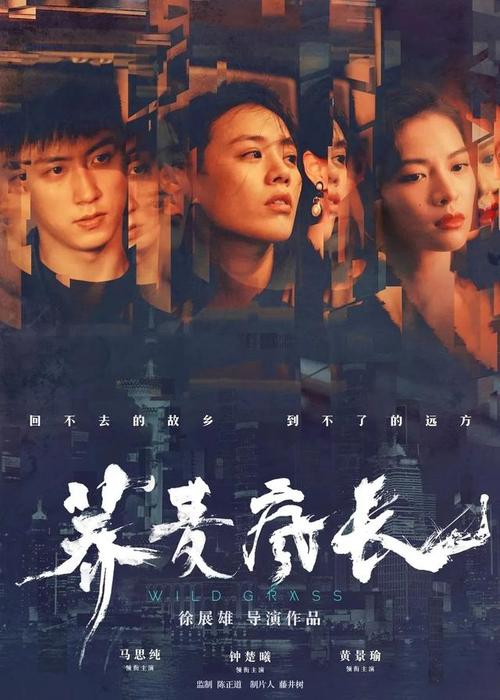主教大学电子工程学位证书